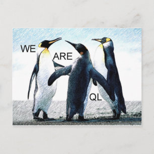Cartão Postal pinguins