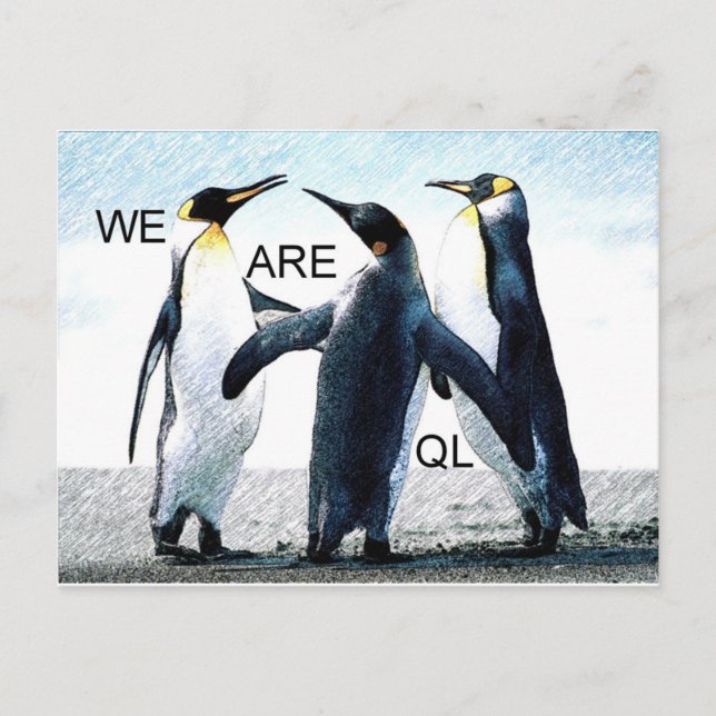 Cartão Postal pinguins (Frente)