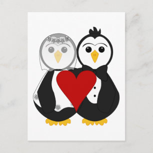 Cartão Postal Pinguins Casados Apaixonados