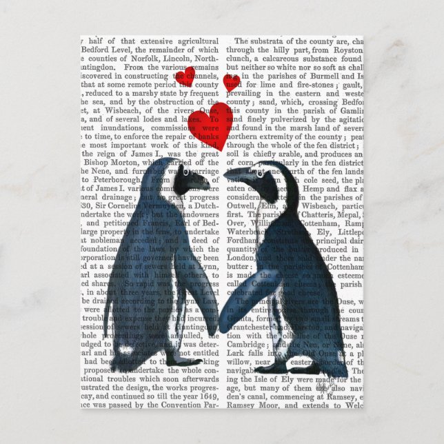 Cartão Postal Pinguins Com Corações De Amor (Frente)