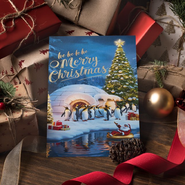 Cartão Postal Pinguins curiosos (Criador carregado)