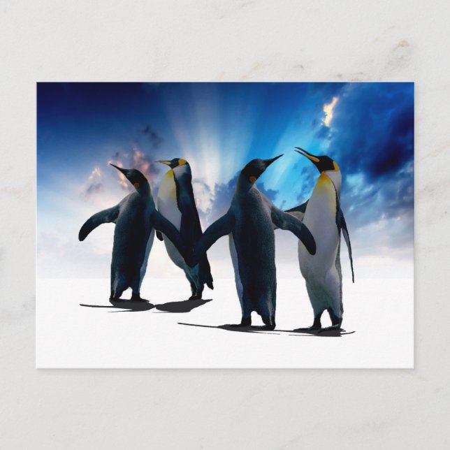 Cartão Postal Pinguins dançam (Frente)