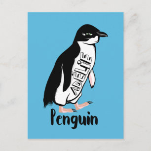 Cartão Postal Pinguins de Adelie