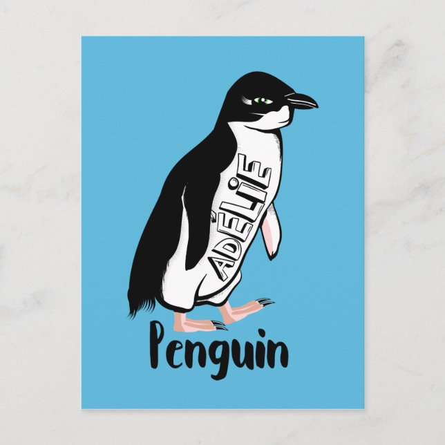 Cartão Postal Pinguins de Adelie (Frente)