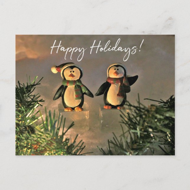 Cartão Postal Pinguins de Feriado (Frente)