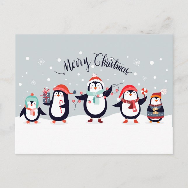 Cartão Postal Pinguins de Natal (Frente)