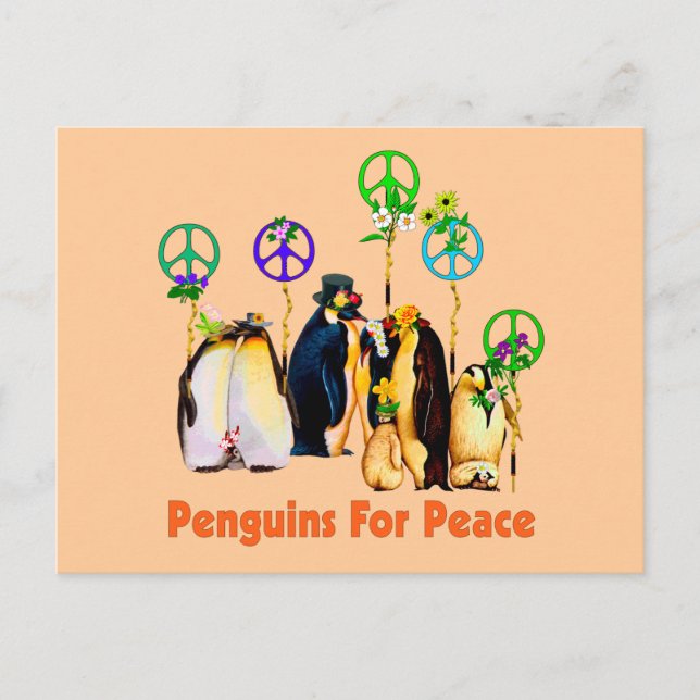 Cartão Postal Pinguins de Paz (Frente)