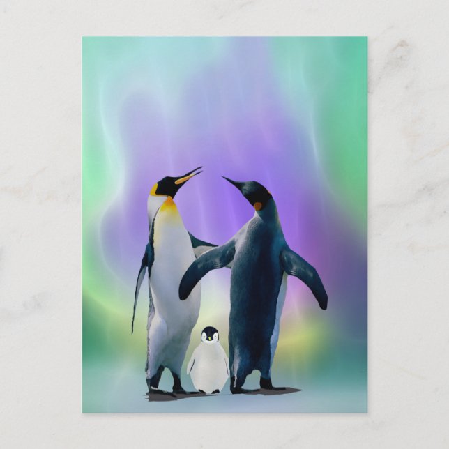 Cartão Postal Pinguins e bebê em Aurora borealis (Frente)