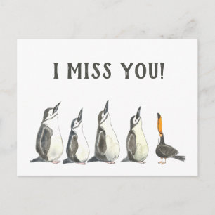 Cartão Postal Pinguins e um tucano que sinto saudades de vocês, 