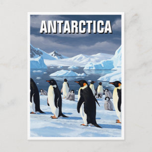 Cartão Postal Pinguins na Antártida Viajam