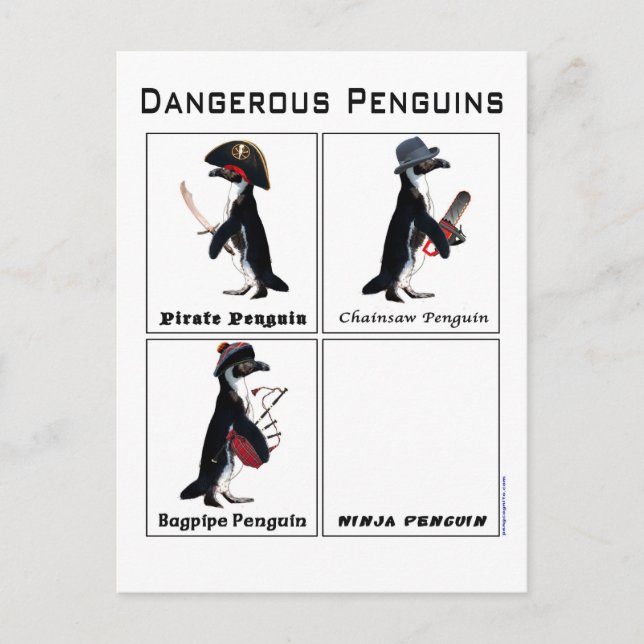 Cartão Postal pinguins perigosos (Frente)