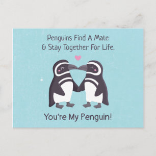 Cartão Postal Pinguins se Beijando, Engraçado Você É Meu Pinguim
