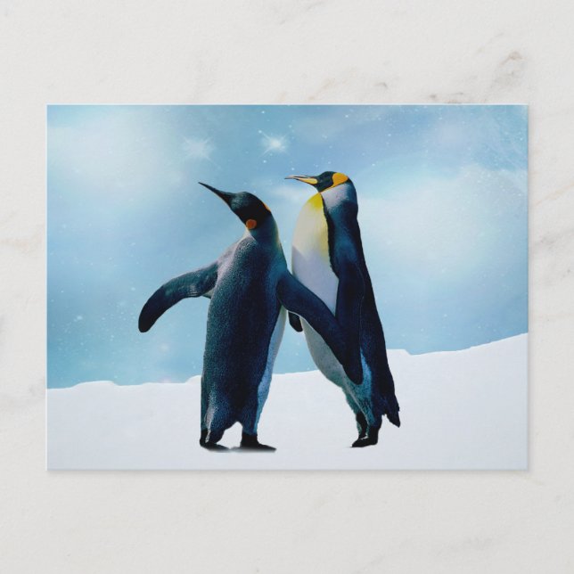 Cartão Postal Pinguins viva e deixe viver (Frente)