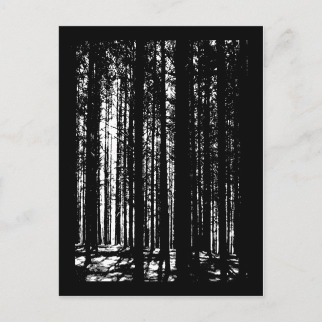 Cartão Postal pinhal (Frente)