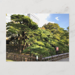 Cartão Postal Pinheiros com 300 anos