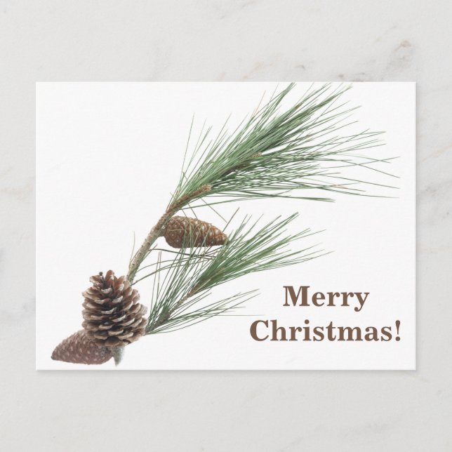 Cartão Postal Pinho com os cones (Frente)