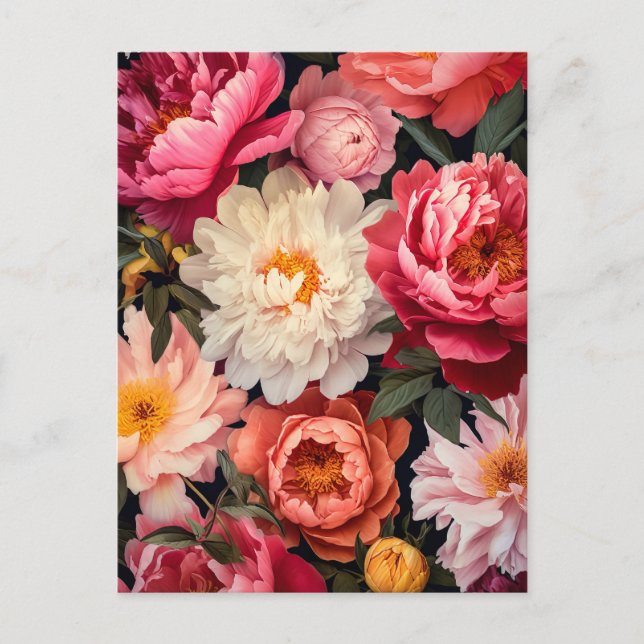 Cartão Postal pink and white peony flowers with green leaves (Frente)