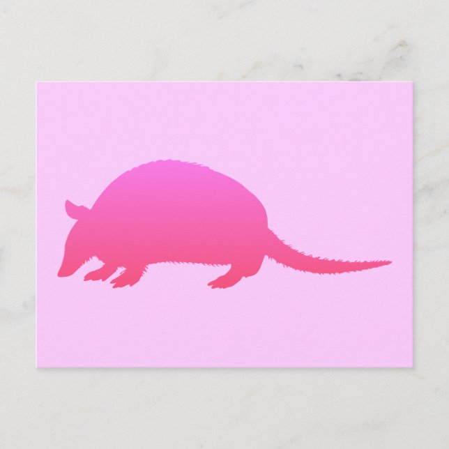 Cartão Postal Pink Armadillo (Frente)