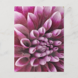 Cartão Postal Pink Dahlia