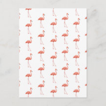 Pink Flamingo Patterno Feminino