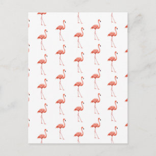 Cartão Postal Pink Flamingo Patterno Feminino