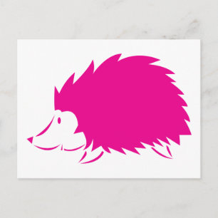 Cartão Postal Pink Hedgehog