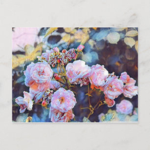 CARTÃO POSTAL PINK PEONIES