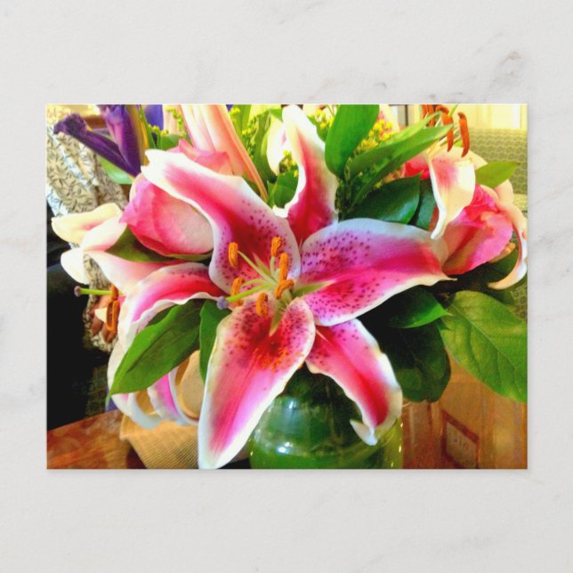 cartão postal pink stargazer lily (Frente)