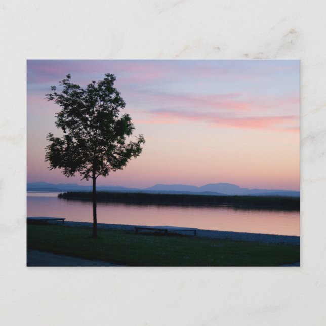 Cartão Postal Pink Sunset (Frente)