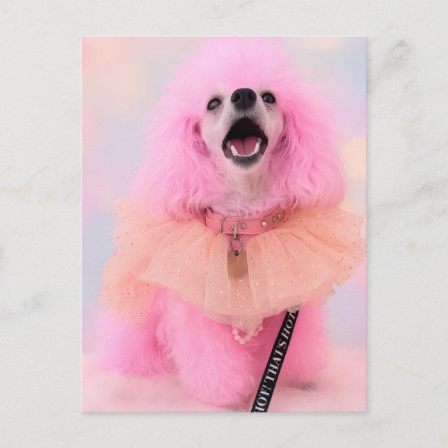 Cartão Postal Pink Toy Poodle, Mozzarella The Poodle, Postcard (Frente)