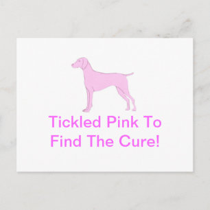 Cartão Postal Pink Vizsla