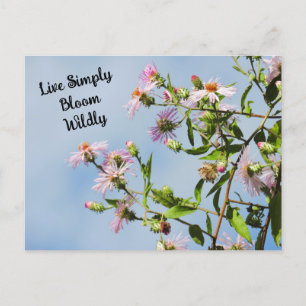Cartão Postal Pink Wildflower on Blue Quote