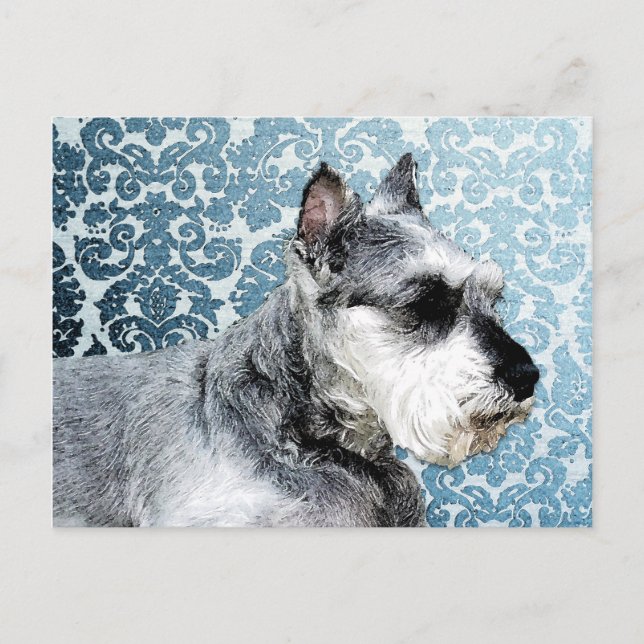 Cartão Postal Pintado - Miniatura Schnauzer (Frente)