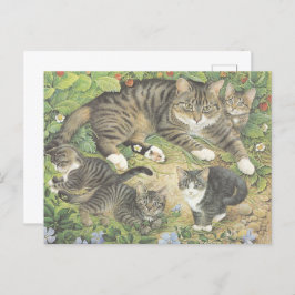CARTÃO POSTAL PINTADO POR GATO