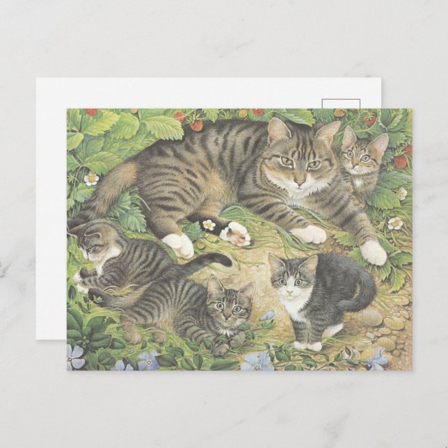 CARTÃO POSTAL PINTADO POR GATO (Frente/Verso)