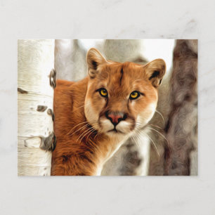 Cartão Postal Pintagem de Fotografias de Cougar