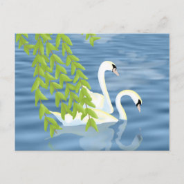 Cartão Postal Pintando o par de Cisnes Azuis e Verdes no lago