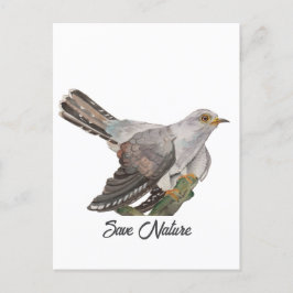 Cartão Postal Pintar aquarela