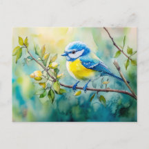Pintassilgo-azul em um ramo pintura em aquarela
