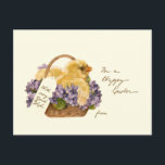 Cartão Postal Pintinho, cesta de Páscoa e Violetas<br><div class="desc">Pintinho amarelo-felpudo bonito em cesto de violetas alegres e tecidas com mensagem de Felz pascoa.</div>