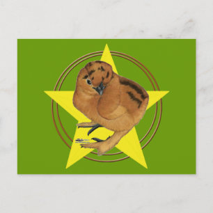 Cartão Postal Pintinho Vermelho Silkie