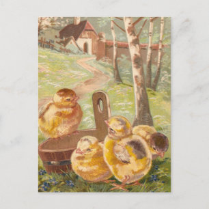 Cartão Postal Pintinhos de Páscoa Vintage