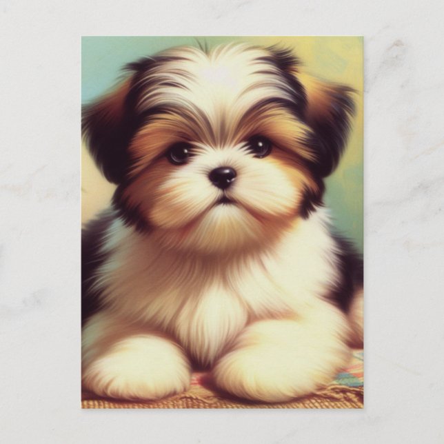 Cartão Postal Pintor Cute Shih-Tzu (Frente)