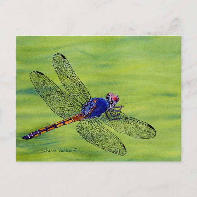 Cartão Postal Pintor de aquarela de Dragonfly (Frente)
