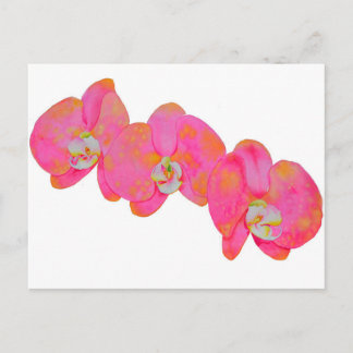 Cartão Postal Pintor de aquarelas rosa Pintura de orquídeas