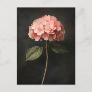 Cartão Postal Pintor de Hydrangea Botânica Rosa