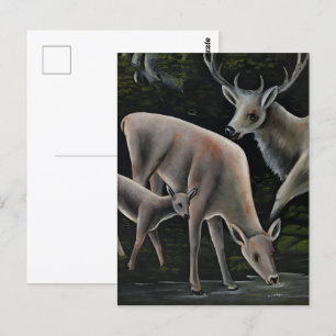 Cartão Postal pintor georgiano Niko Pirosmani
