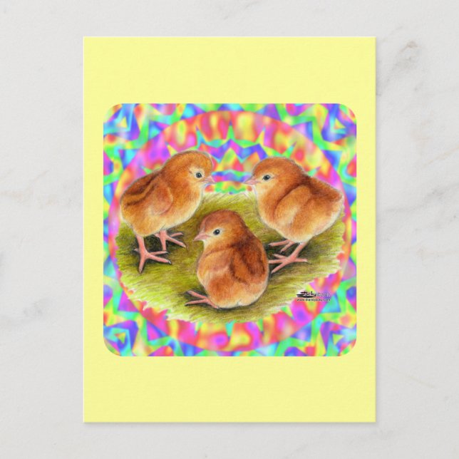 Cartão Postal Pintos Bebês Vermelhos (Frente)