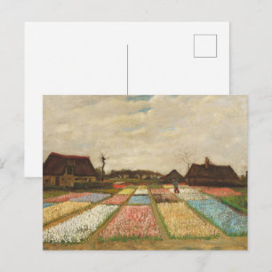Cartão Postal Pintura a Óleo de Vincent Van Gogh Campos de Bulbo