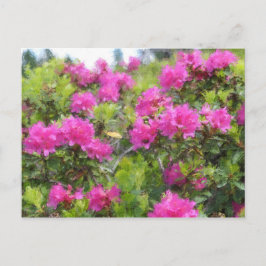 Cartão Postal Pintura a óleo do rododeno rosa alpino